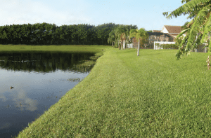 Winston Trails Lake