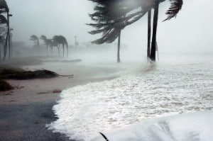 Hurricane Season